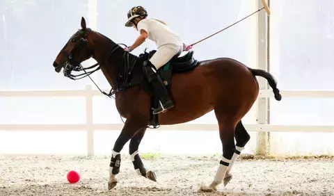 singureni-manor-polo-cup (1)