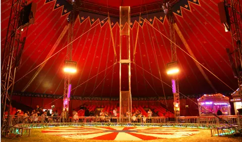 Interzicerea animalelor salbatice la circuri - semneaza si tu petitia!