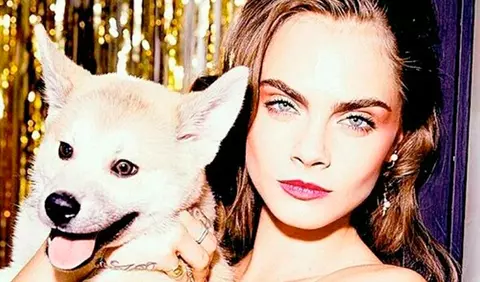 Job description: animal de companie