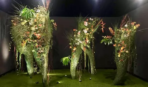 România câștigă Bronzul la Cea Mai Mare Competiție Floristică din Asia: Singapore Garden Festival