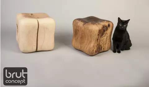 Ce obiecte de design, marca Brut Concept, găsești la ELLE Decoration Designers Boutique