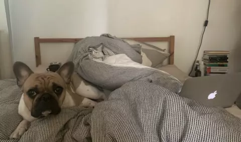 Maurice Munteanu: Jurnal de #stauacasă 5