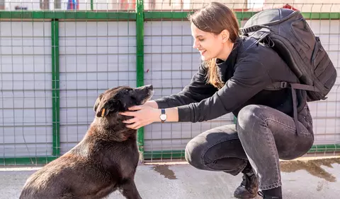 Un prieten de carantină