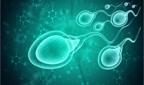 Coronavirus depistat în sperma celor infectați. Se transmite virusul pe cale sexuală?