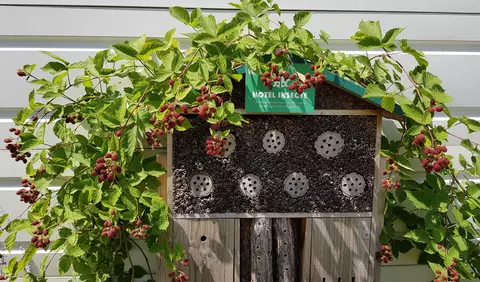 ELLE FENOMEN: Ce plantăm noi, cu mâinile noastre