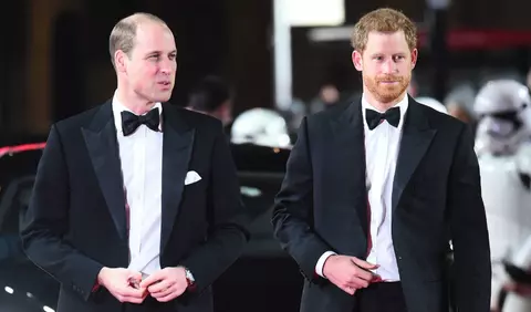 Noi detalii despre relația dintre Prințul Harry și Prințul William, după dezvăluirile făcute în interviul cu Oprah Winfrey