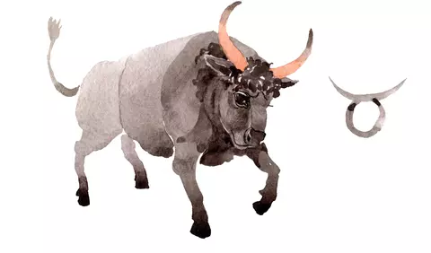 Horoscop anual 2026 Taur. Previziuni pentru zodia Taur, în 2026