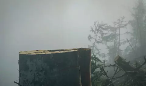 Documentarul "După Cioate", despre un atac nerezolvat și tăcerea unui sistem, din 28 noiembrie în cinematografe