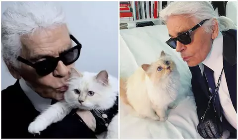 Choupette, celebra pisică a lui Karl Lagerfeld, în pragul falimentului! Ce s-a întâmplat cu moștenirea de 1.5 milioane de euro, lăsată de designer