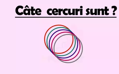 Test IQ la care toți greșesc: Câte cercuri vezi în această imagine?