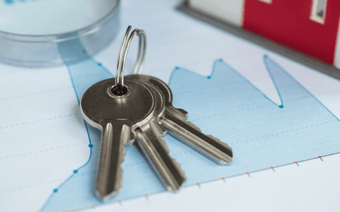 Care este varianta optimă pentru tine: credit ipotecar în lei sau în euro?