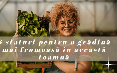 6 sfaturi pentru o grădină mai frumoasă în această toamnă