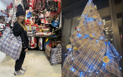 Cum arată bradul de Crăciun al Deliei. L-a împodobit cu sacoșe de rafie și trandafiri albi: „Doar tu puteai face asta”