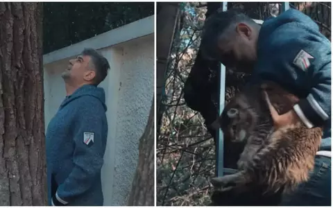 Marcel Ciolacu, despre puloverul de 4.000 de euro, purtat când și-a salvat pisica dintr-un copac: "Zice că e al lui bunicu și atunci l-am purtat în casă"