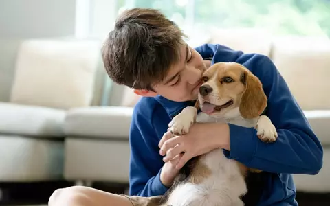 Cum creezi o rutină zilnică echilibrată pentru animalul tău