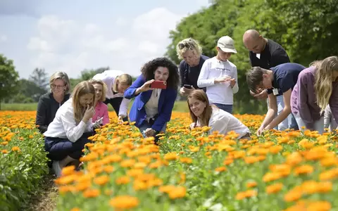 Cum se fabrică celebrele produse Weleda! Am vizitat grădina de plante medicinale din Germania, un paradis de 23 de hectare