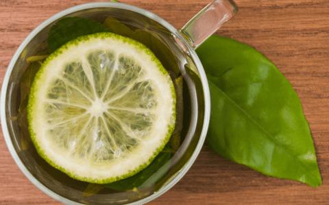 Ceai verde japonez cu yuzu – echilibrul perfect între prospețime și tradiție