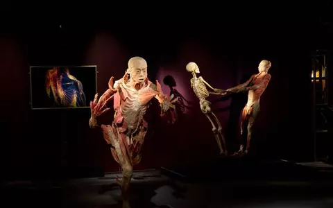 Expoziţia „The Human Body” la Muzeul Antipa   
