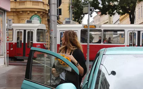 Viena, Viena, Viena!