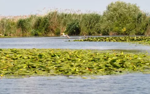 (P) În premieră, turism all inclusive în Deltă