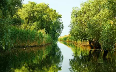 (P) De Paște, plătește 1 și merg 2 în Delta Dunării !
