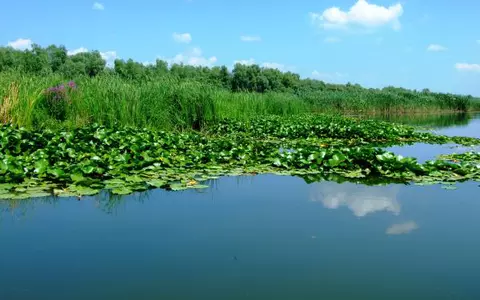 (p) Delta Dunării, un paradis la doi pași de București