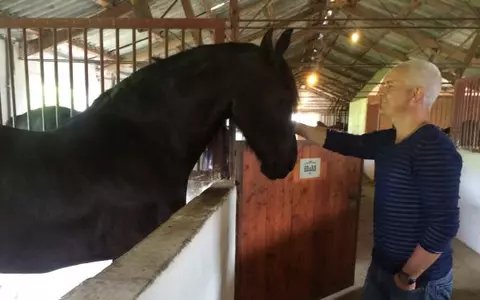 (P) Transylvania Horse Show, cea mai populară competiție ecvestră  în rândul studenților din întreaga lume!