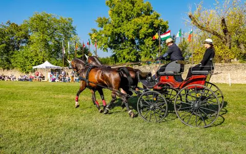 Karpatia Horse Show 2016: opt mii de spectatori s-au bucurat de ineditul unui show ecvestru de anvergură internațională!