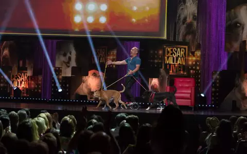 Află ce trebuie să faci pentru a fi pe scenă, alături de câinele tău la show-ul lui Cesar Millan! Timp pentru înscrieri: 2 săptămâni începând de astăzi!