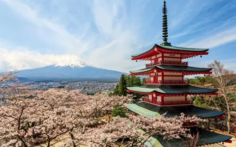 HANAMI – Sărbătoarea cireşilor înfloriţi