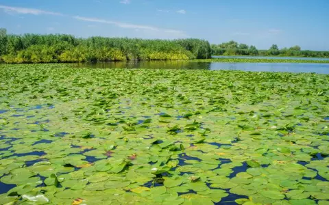 (P) Delta Dunării pentru Seniori – tarife de la 399 lei de persoană