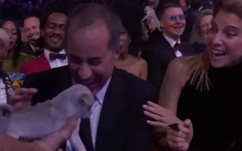 Premiile Grammy de consolare. Cadou însuflețit pentru artiștii care nu au fost premiați
