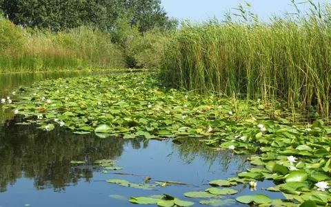 (P) Petrece vacanţa de Paşte în stil lipovenesc, în Delta Dunării