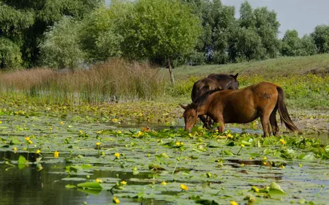 (P) Relaxare și spiritualitate de Paște în Delta Dunării