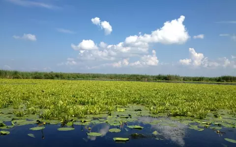 (P) Ultra Las Minute Delta Dunării – de la numai 549 lei!