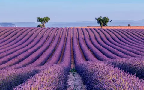 Provence, regiunea fabuloasă din sudul Franţei - autentică şi ireal de frumoasă