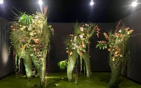 România câștigă Bronzul la Cea Mai Mare Competiție Floristică din Asia: Singapore Garden Festival