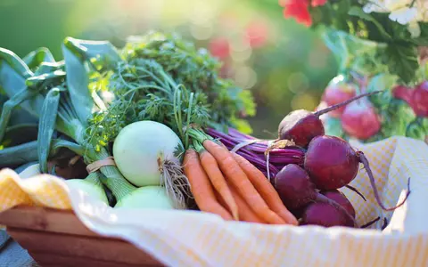 (P) Produse bio vs alimente conventionale