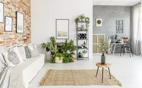 Cum să alegi plantele din casă în funcție de designul locuinței. Ce ar trebui să ai în vedere