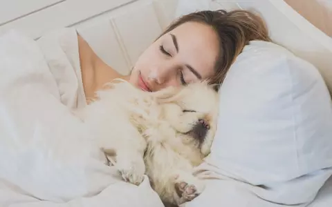 Vrei să dormi mai bine? Cercetătorii îți recomandă să dormi cu un anumit animal de companie