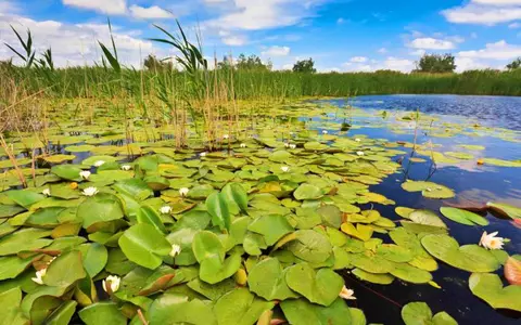 (P) Escapadă în paradisul Delta Dunării -  tarife de la 549 lei!
