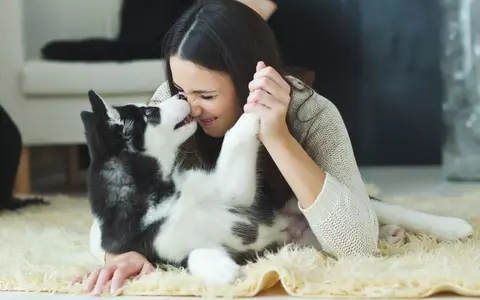 Studiu: ești mai tandră cu animalul de companie decât cu iubitul!