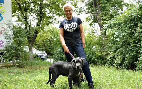Monica Anghel are acasă șase câini luați de pe stradă. Vedeta glumește și spune că i-au moștenit talentul!