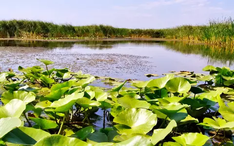 (P) Primăvara - anotimpul perfect să descoperi Delta Dunării!
