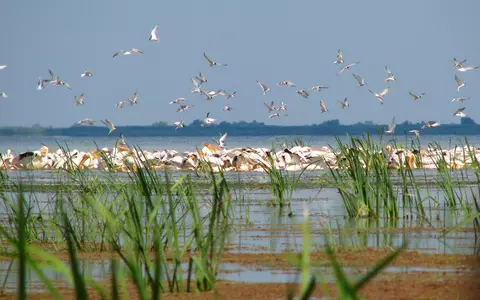 Idei de călătorie pentru 2020! Delta Dunării, colțul de rai al României