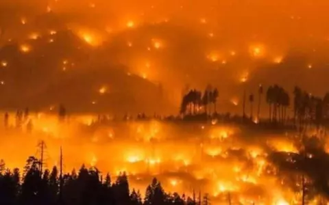 10 imagini de la incendiile devastatoare din Australia care au înduioșat planeta