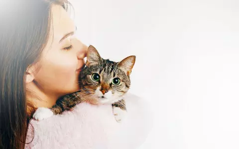 Ce trebuie să știi înainte de a adopta o pisică
