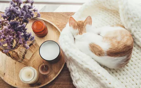 Activități zen pentru un weekend relaxant acasă