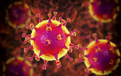11 sfaturi vitale, la îndemâna oricui. Un cunoscut patolog dezvăluie cum ar putea fi inhibat coronavirusul
