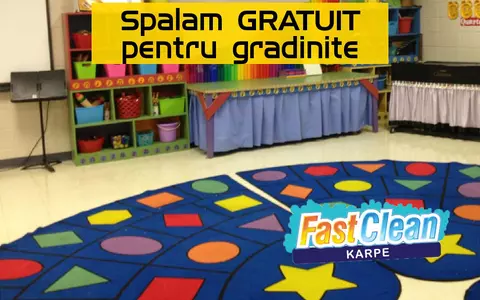 (P) De ce este atât de important să facem curățenie în mod regulat?